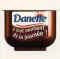 Danone Danette chocolat.jpg (12252 octets)