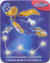 Danone Gervais Constellation Cassiopee.jpg (25360 octets)