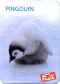 Fruite Pingouin.jpg (18558 octets)
