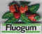 Fluogum 01.jpg (20811 octets)