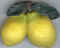 Citron 04.jpg (22598 octets)