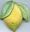 Citron 05.jpg (10901 octets)