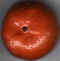Orange 04.jpg (13435 octets)