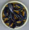 Plat de moules 01.jpg (32509 octets)