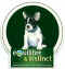 Equilibre & Instinct chien 03.jpg (31113 octets)