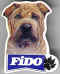 Fido 01.jpg (19806 octets)