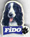 Fido 03.jpg (19121 octets)