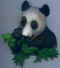 Panda 02.jpg (34267 octets)