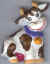 Vache 11.jpg (28051 octets)