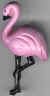 Flamant rose.jpg (9243 octets)