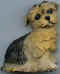 Chien 23.jpg (18641 octets)