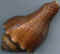 Coquillage 08.jpg (13307 octets)