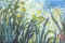 Monet iris jaunes et mauves.jpg (50925 octets)