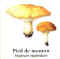 Atlas champignon 03.jpg (10923 octets)