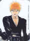 Bleach 01.jpg (27580 octets)