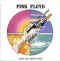 Pink Floyd 01.jpg (38024 octets)