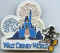 Floride Walt Disney World 01.jpg (131343 octets)