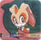 Staks Sonic 032.jpg (40617 octets)