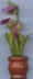 Pot de fleurs 12.jpg (14261 octets)