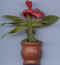 Pot de fleurs 14.jpg (17609 octets)