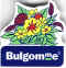 Bulgomme.jpg (24453 octets)