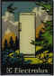 Electrolux 01.jpg (20746 octets)