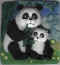 Panda (Chine) 02.jpg (35797 octets)