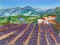 Provence Alpes Cote d'Azur lavande.jpg (63268 octets)