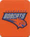 NBA 2009 Charlotte Bobcats.jpg (17405 octets)