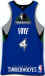 NBA 2009 Minnesota Timberwolves 04.jpg (13885 octets)