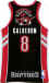 NBA 2009 Toronto Raptors 08.jpg (42160 octets)