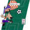 Puzzle Coupe du Monde foot 1994.jpg (129572 octets)